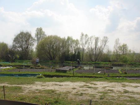 a0247585_9563126.jpg