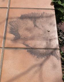 e0130185_1857596.jpg