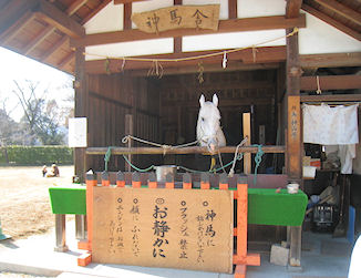 c0107588_10313864.jpg