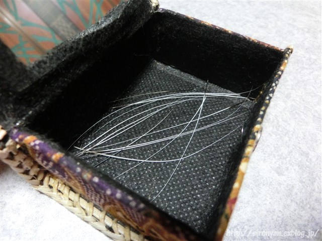 a0159490_16513248.jpg