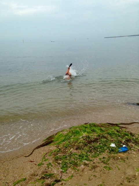 c0172392_172372.jpg