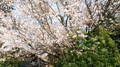 d0143192_15545215.jpg