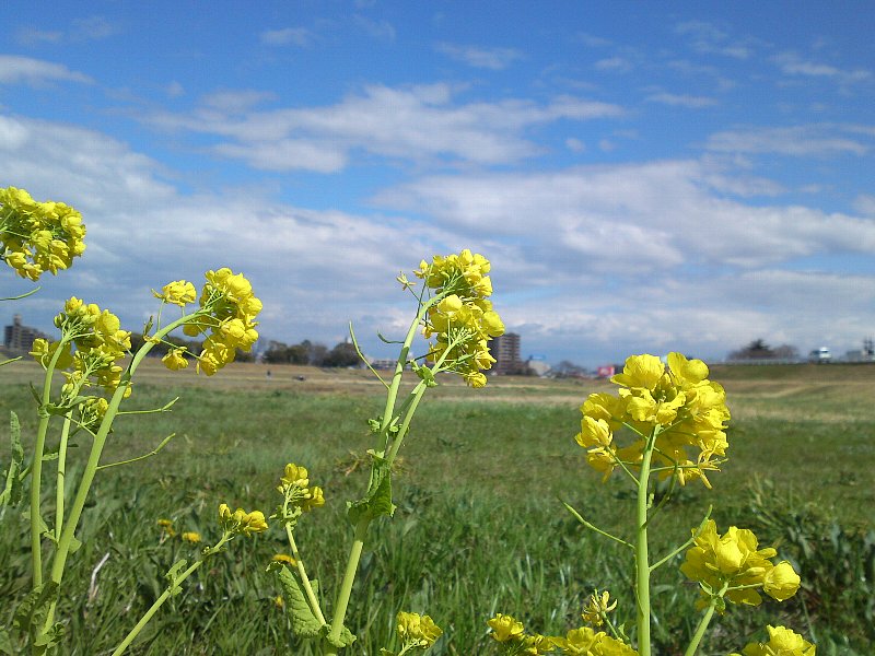 a0031000_032679.jpg