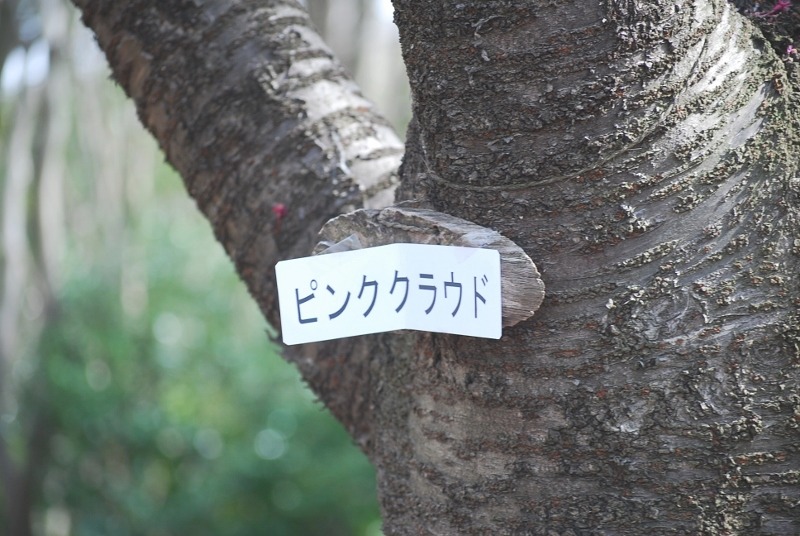 e0025300_2015447.jpg