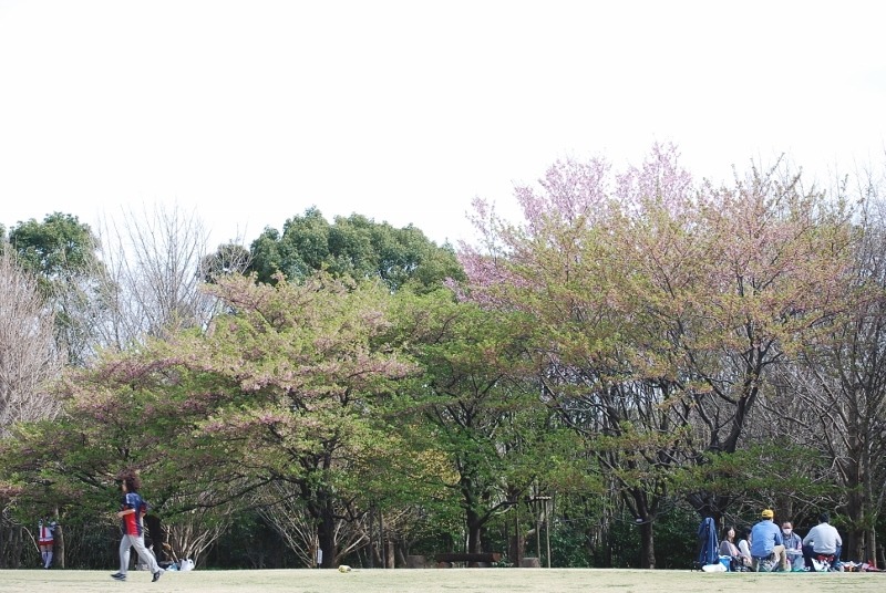 e0025300_2025228.jpg