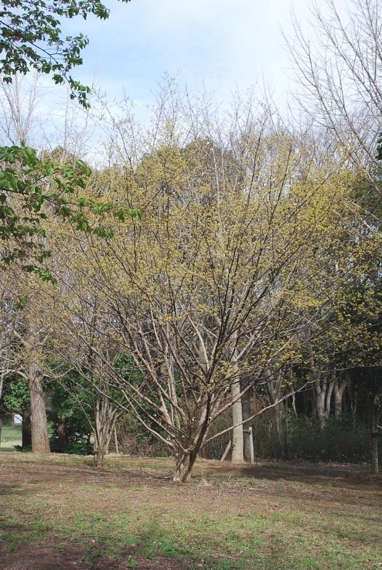 e0025300_20384911.jpg