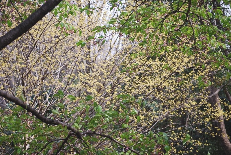 e0025300_203929100.jpg