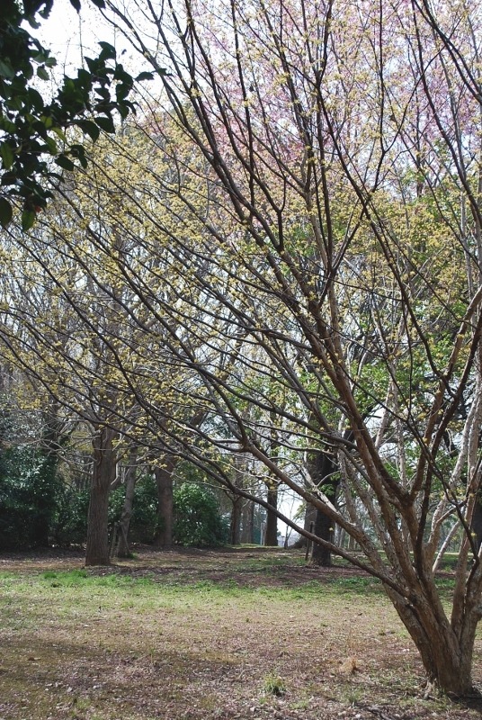 e0025300_20403746.jpg