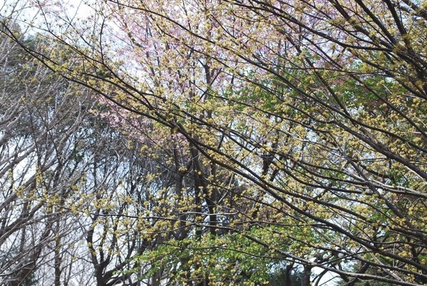 e0025300_20414650.jpg