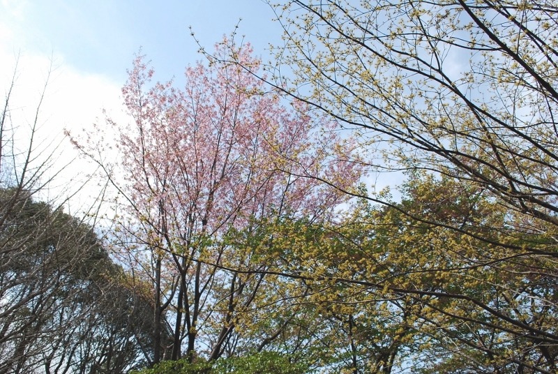 e0025300_20422317.jpg