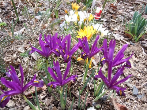 c0117007_17395981.jpg
