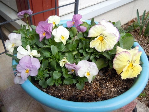 c0117007_17413450.jpg