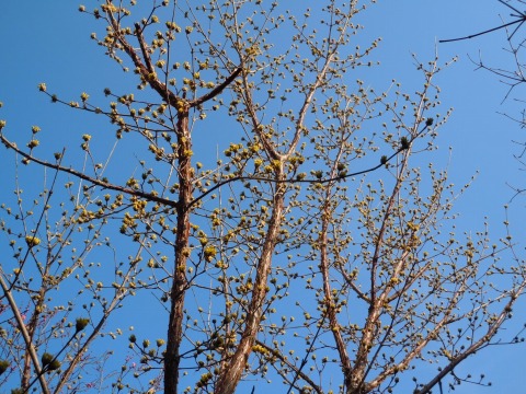 c0117007_17441464.jpg