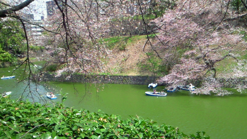f0231709_12214560.jpg