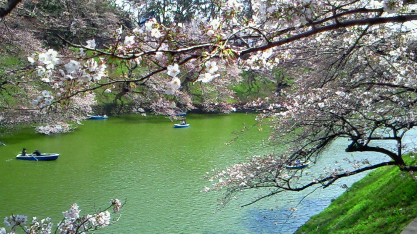 f0231709_12223364.jpg