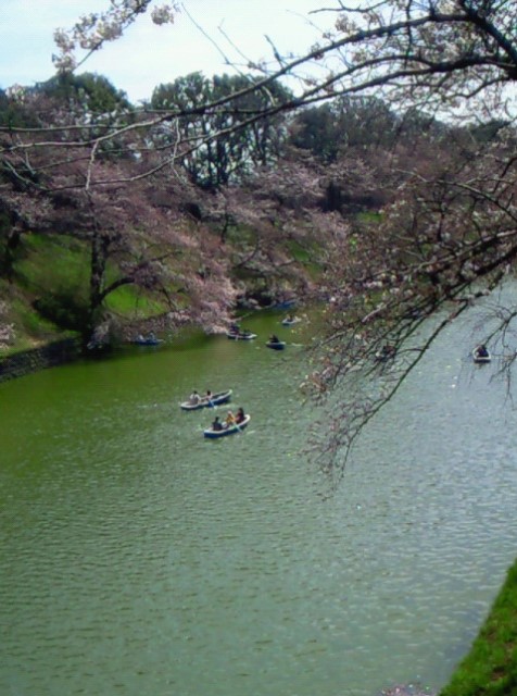 f0231709_12231070.jpg