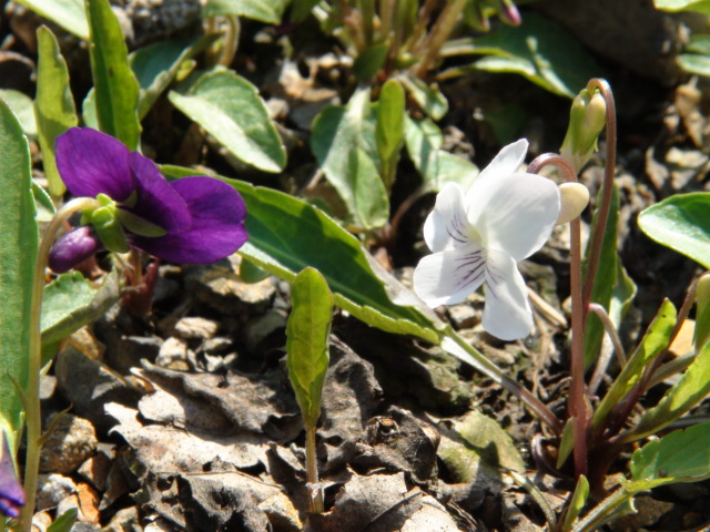 f0231709_1241184.jpg