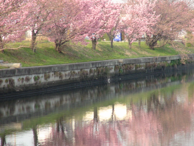 f0231709_13441128.jpg