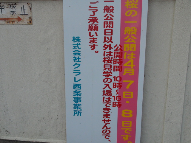 f0231709_1346202.jpg