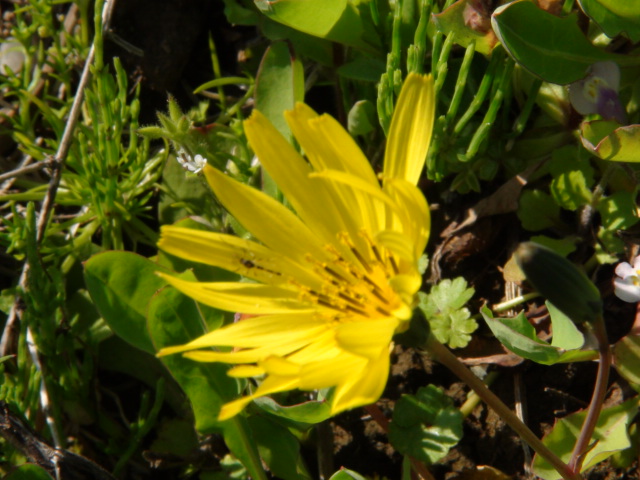 f0231709_1625432.jpg