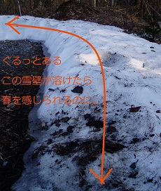 b0200310_12353989.jpg