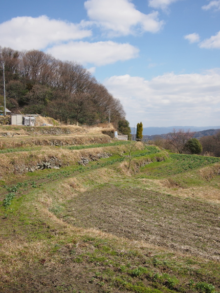 b0244811_712036.jpg
