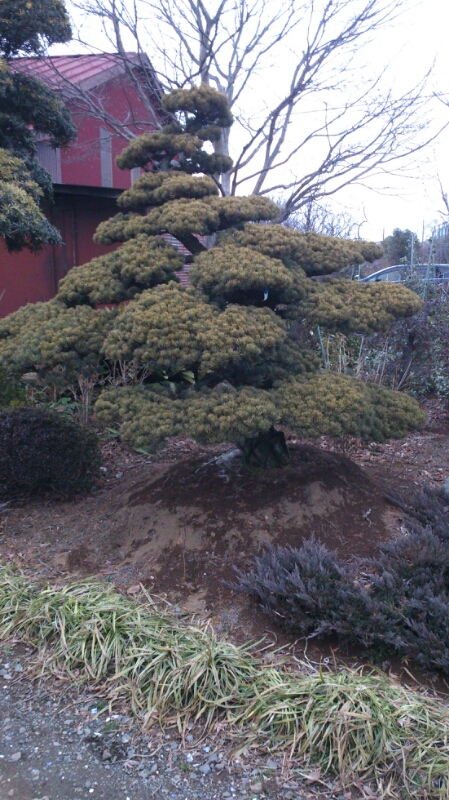 e0202111_20443358.jpg