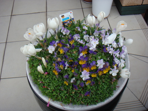 a0019212_20324434.jpg