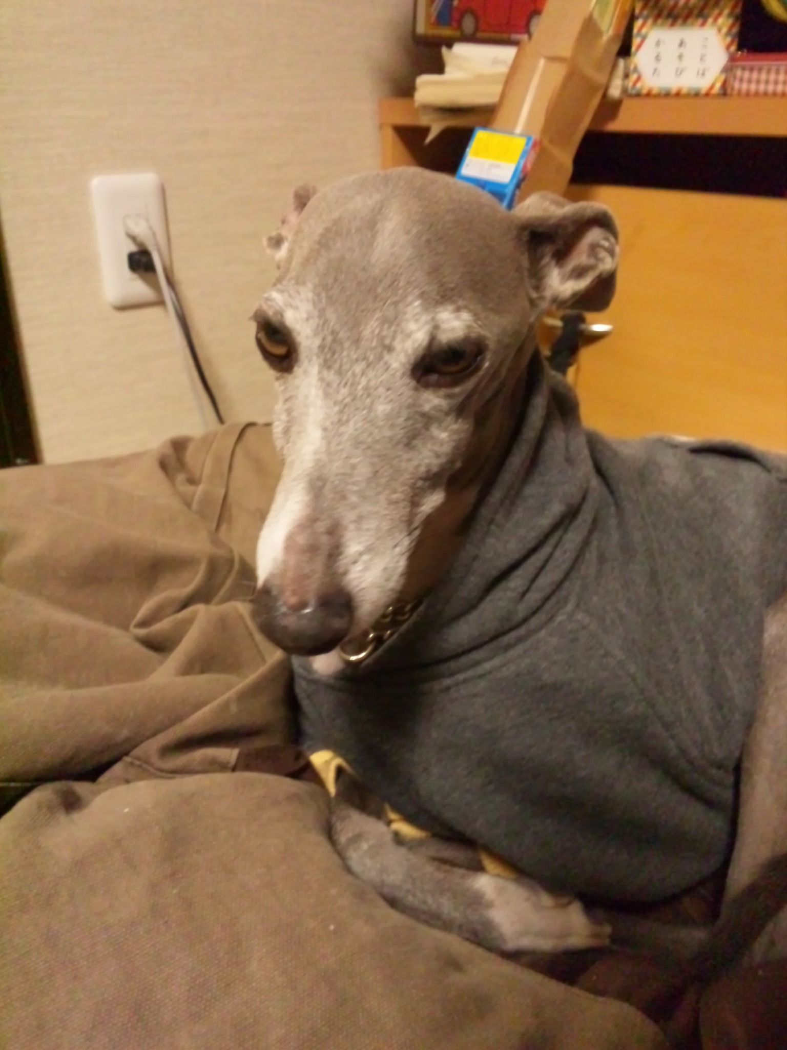 c0003217_22371472.jpg