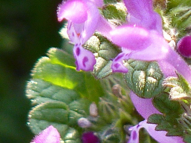 d0197317_07042285.jpg