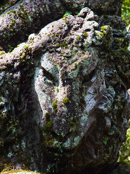 e0083517_2121636.jpg