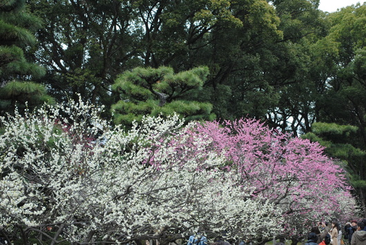 b0209919_22493422.jpg