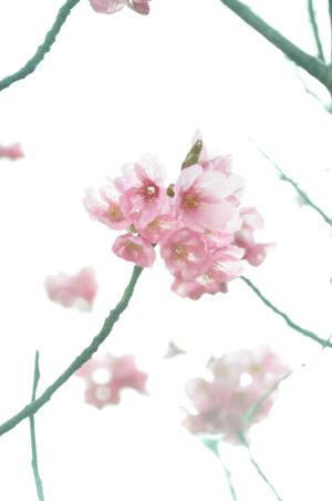 e0312121_2331794.gif