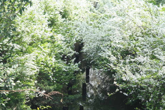 c0087023_20443595.jpg