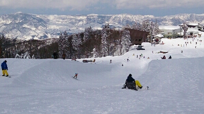 a0220526_0115982.jpg
