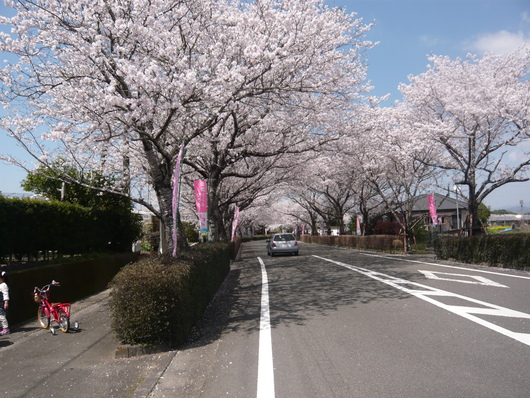 a0206332_8153047.jpg