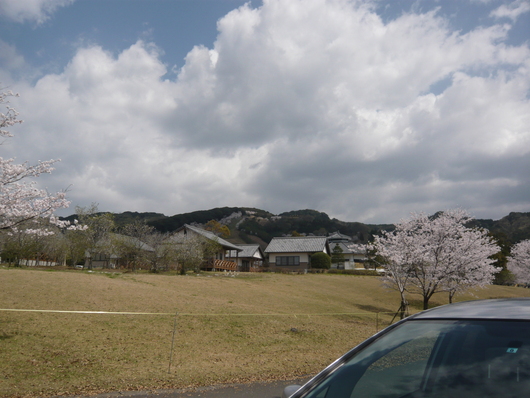 a0206332_819290.jpg