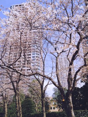 c0177332_14584809.jpg