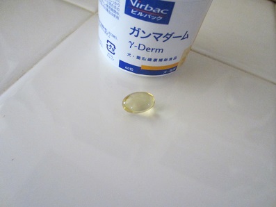 f0002833_15154440.jpg