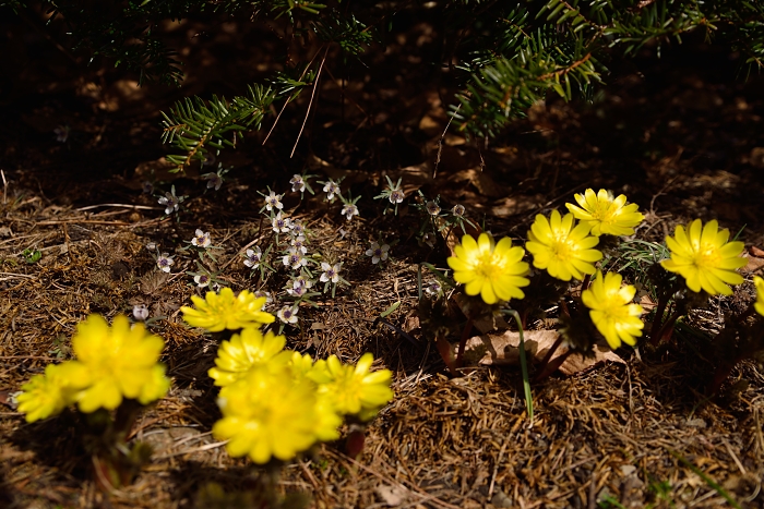 b0236334_20584791.jpg