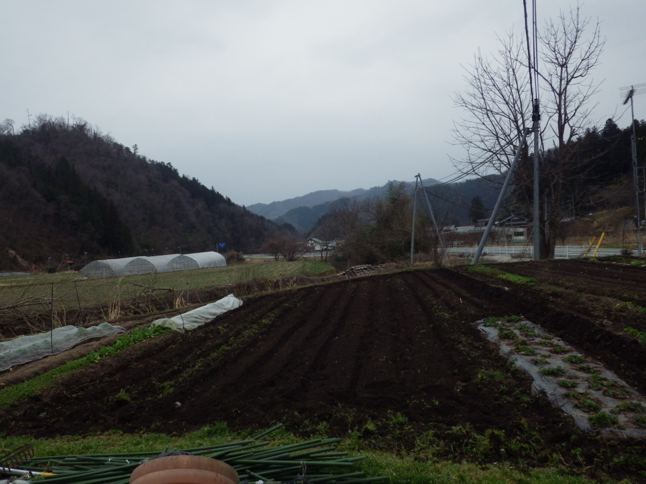 c0300035_161374.jpg