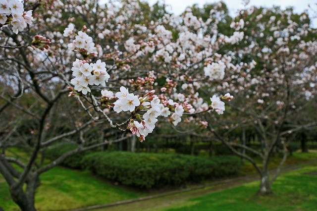 a0242438_18261845.jpg