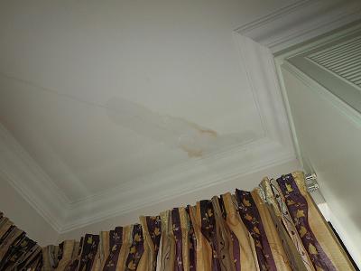 e0089238_13460789.jpg