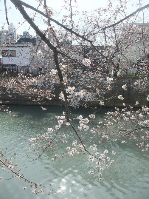 b0165139_20394782.jpg