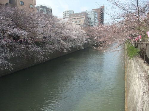 b0165139_20404639.jpg