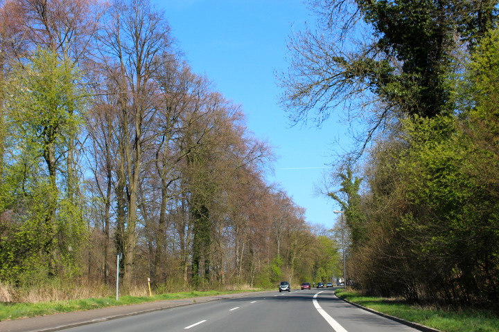 c0153740_235865.jpg