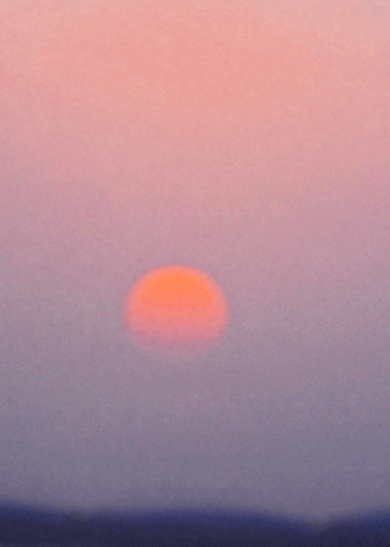 d0290240_16493416.gif