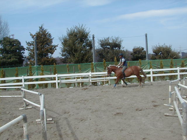 a0305943_22321149.jpg