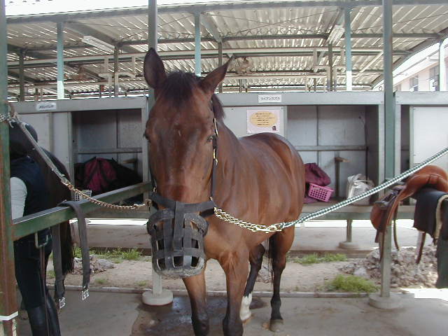 a0305943_22334045.jpg