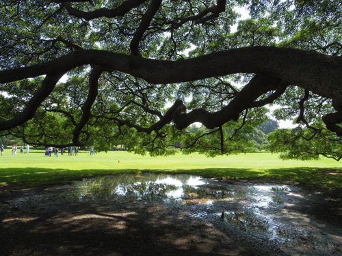 f0039446_1021555.jpg